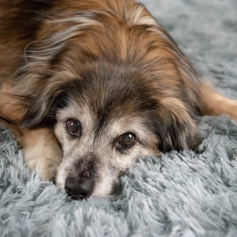 aa52fa57-910c-4f00-879d-8269044aa393